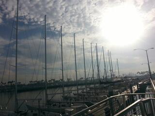 Long Beach Yacht Club photo